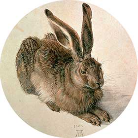 Albrecht Dürer