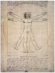 Anatomie