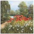 Mohnblumen
